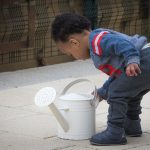 Toddler standing over a watering can